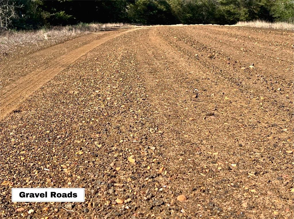 Sycamore Branch Road, Hilltop Lakes, Texas image 14