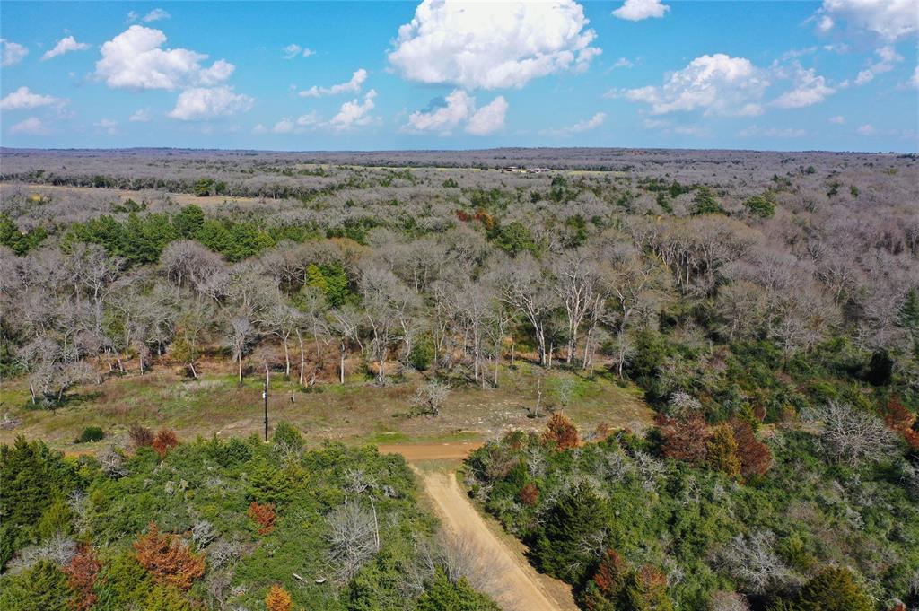 Sycamore Branch Road, Hilltop Lakes, Texas image 11