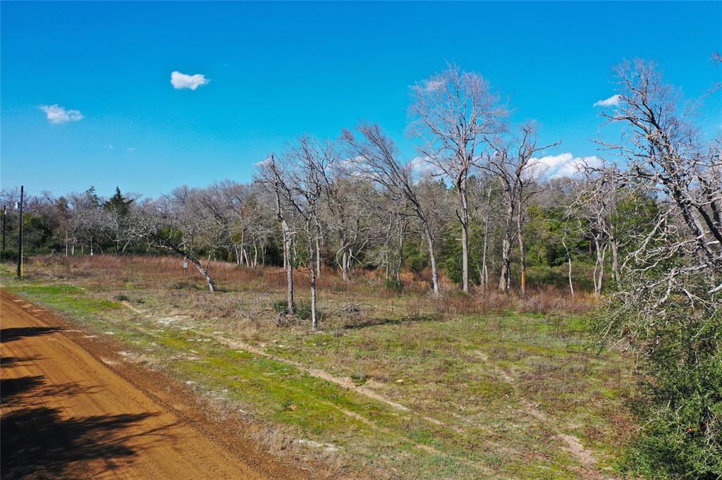 Sycamore Branch Road, Hilltop Lakes, Texas image 13