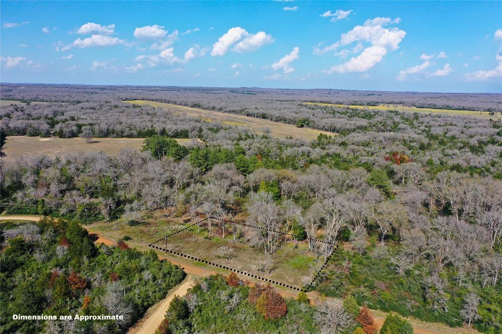 Sycamore Branch Road, Hilltop Lakes, Texas image 1