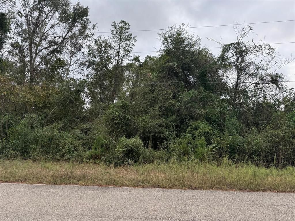 Photo of 19143 Serpenteer Drive, Porter, TX 77365 (MLS # 82640092)