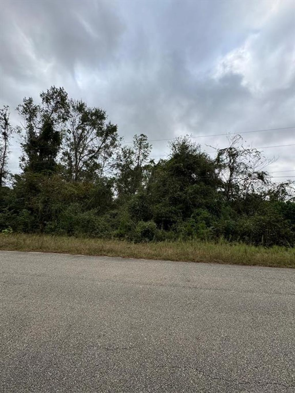 Photo of 19143 Serpenteer Drive, Porter, TX 77365 (MLS # 82640092)