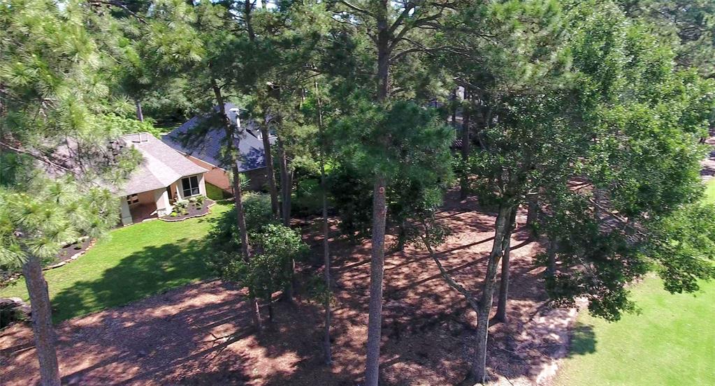 108 W Pines Drive, Montgomery, Texas image 40