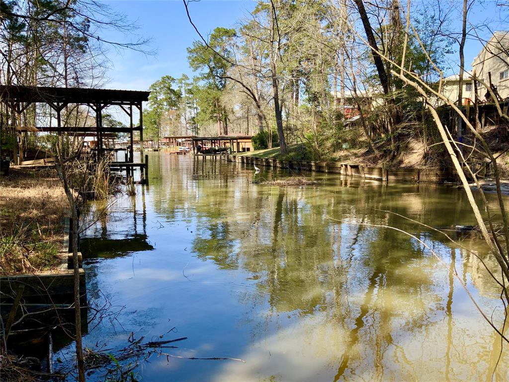 110 Dickens Landing Dr Dr, Livingston, Texas image 34