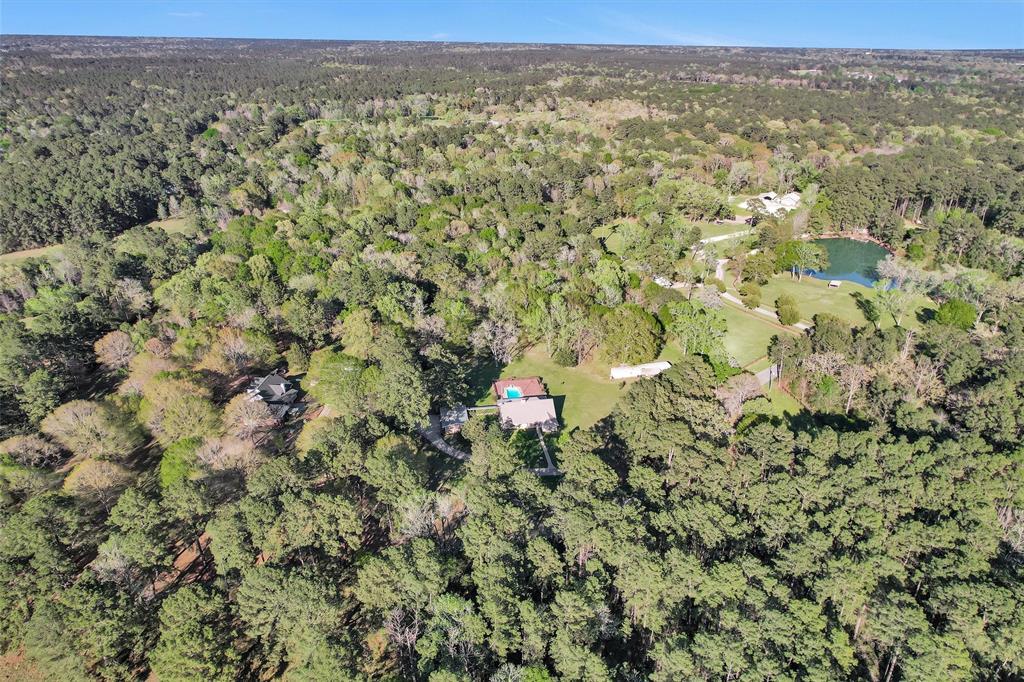 134 Vick Road, New Waverly, Texas image 23