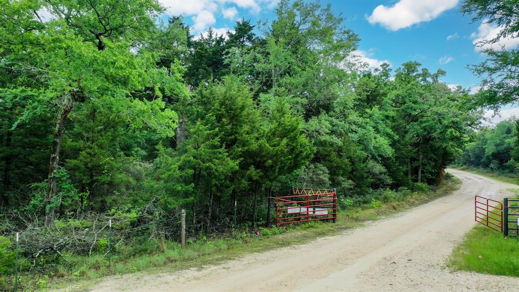 38.28 AC Fm 937 Off, Groesbeck, Texas image 6