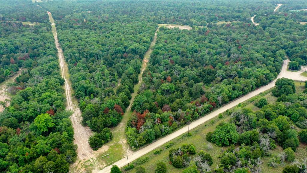 38.28 AC Fm 937 Off, Groesbeck, Texas image 8