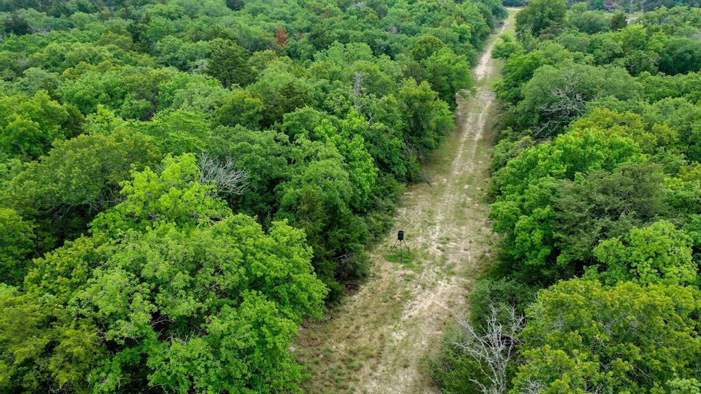 38.28 AC Fm 937 Off, Groesbeck, Texas image 15