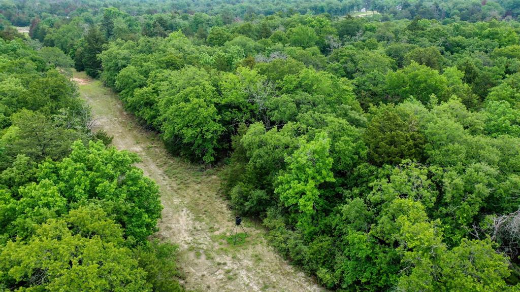 38.28 AC Fm 937 Off, Groesbeck, Texas image 16