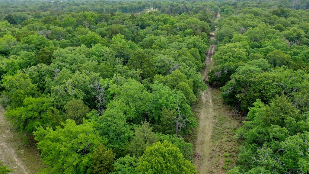 38.28 AC Fm 937 Off, Groesbeck, Texas image 17