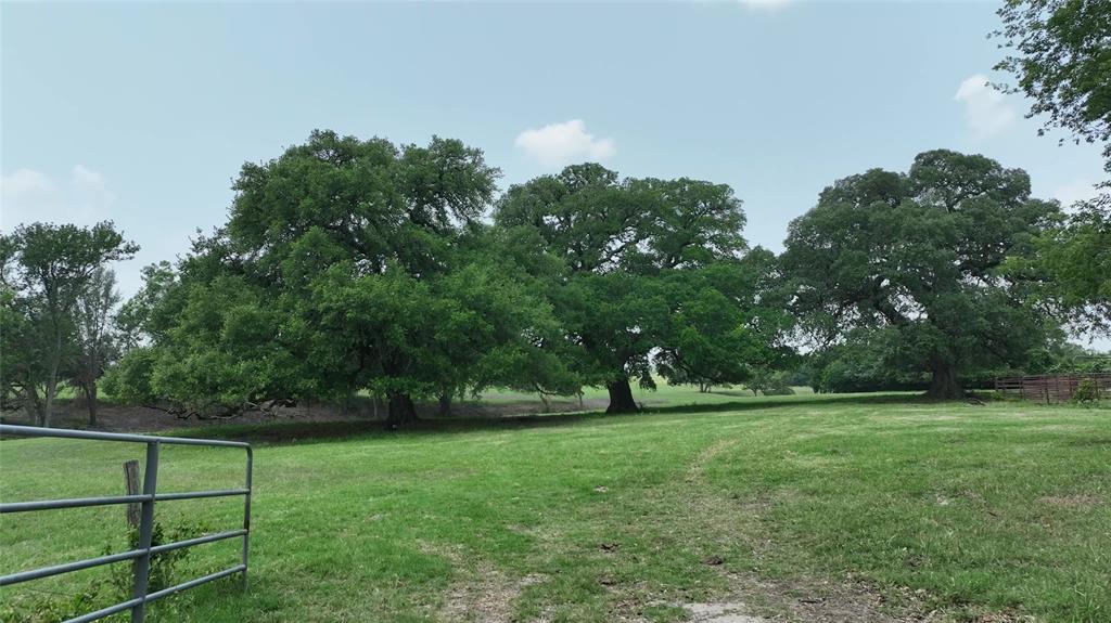 7009 Sandy Hill Road, Brenham, Texas image 38