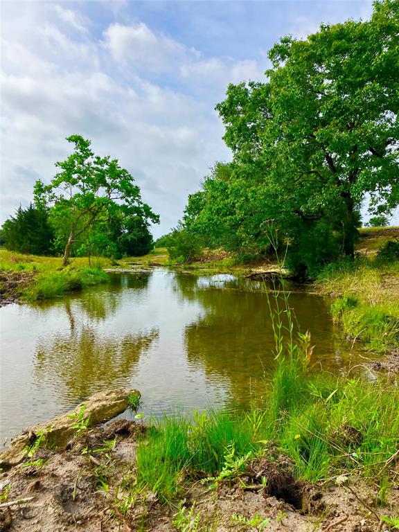 7009 Sandy Hill Road, Brenham, Texas image 28