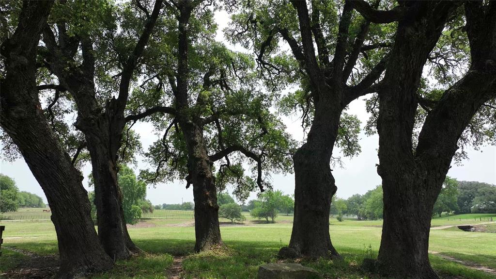 7009 Sandy Hill Road, Brenham, Texas image 10