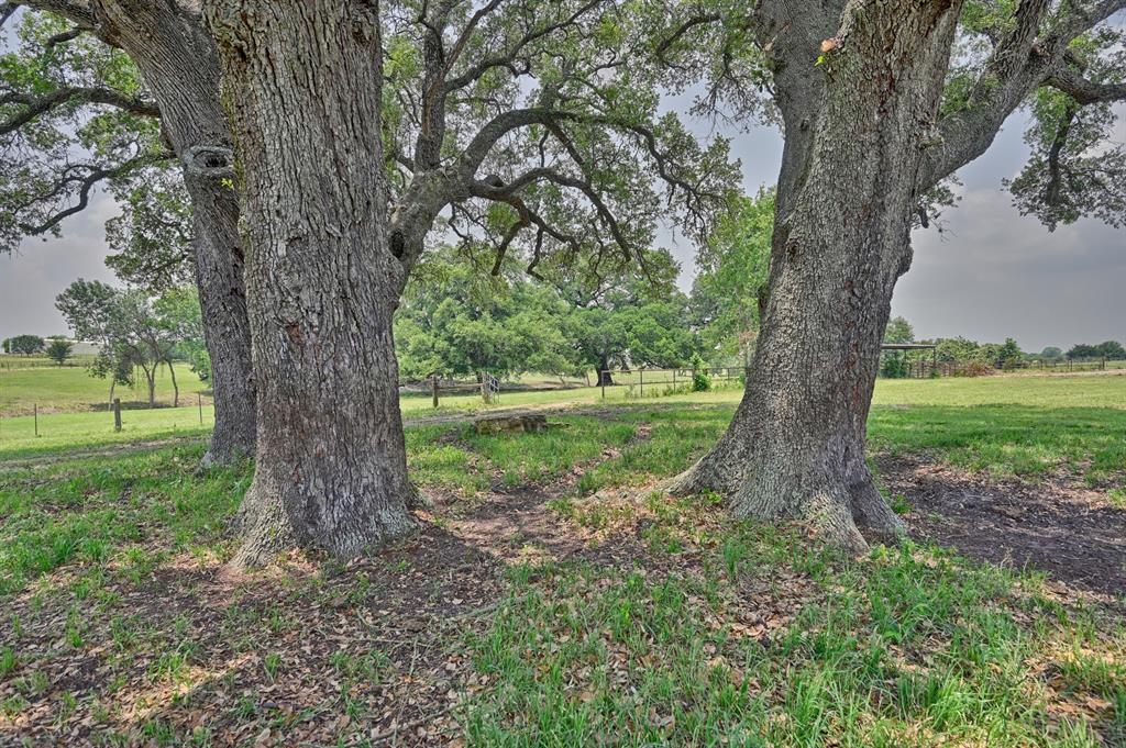 7009 Sandy Hill Road, Brenham, Texas image 12