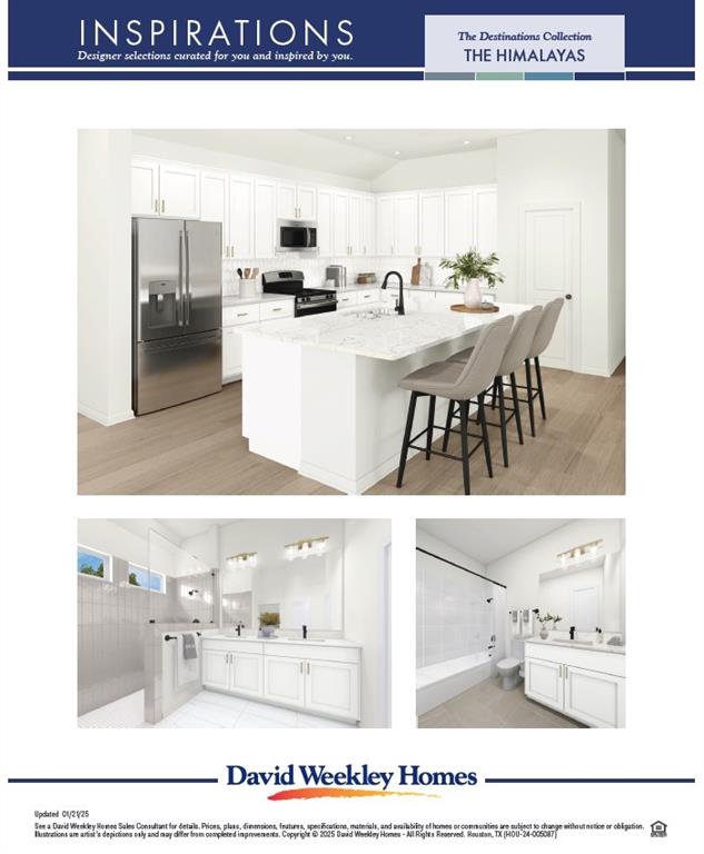 16255 Blue Mistflower Lane