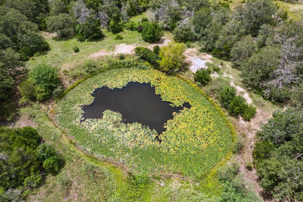 1434 County Road 139