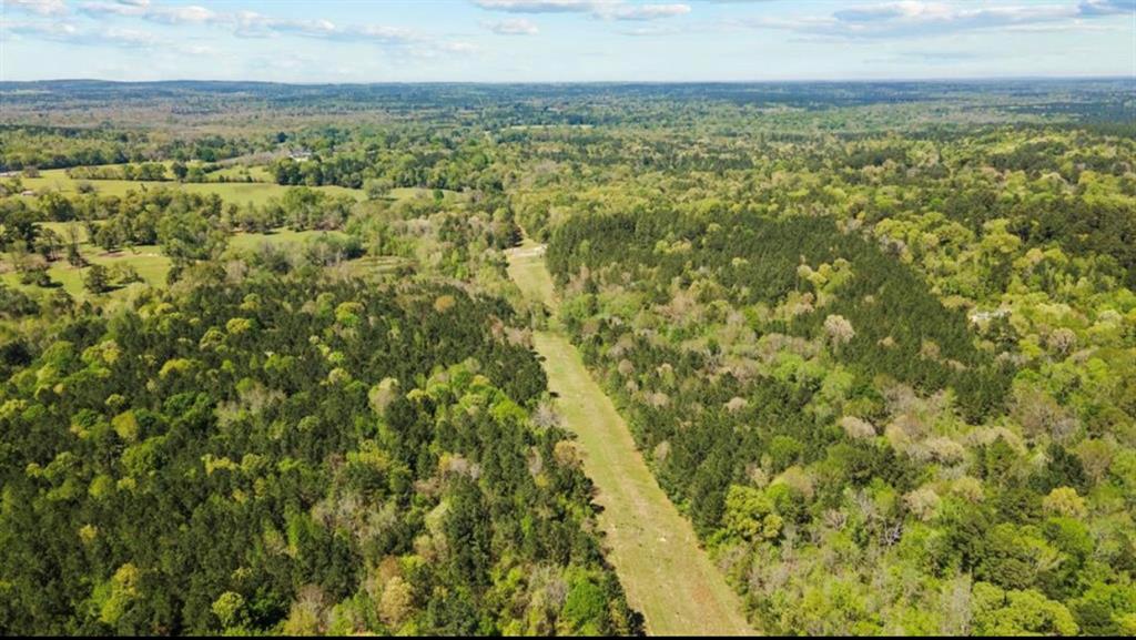 10501 County Road 817 Road, Cushing, Texas image 3