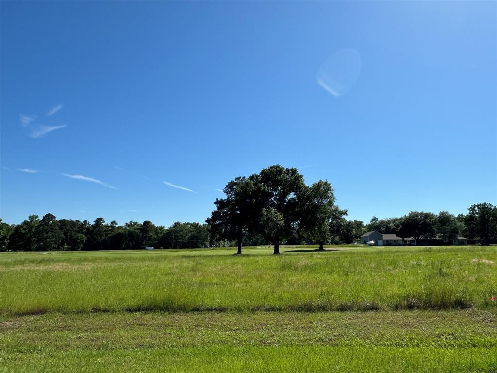 62 Oakridge South, Trinity, Texas image 1