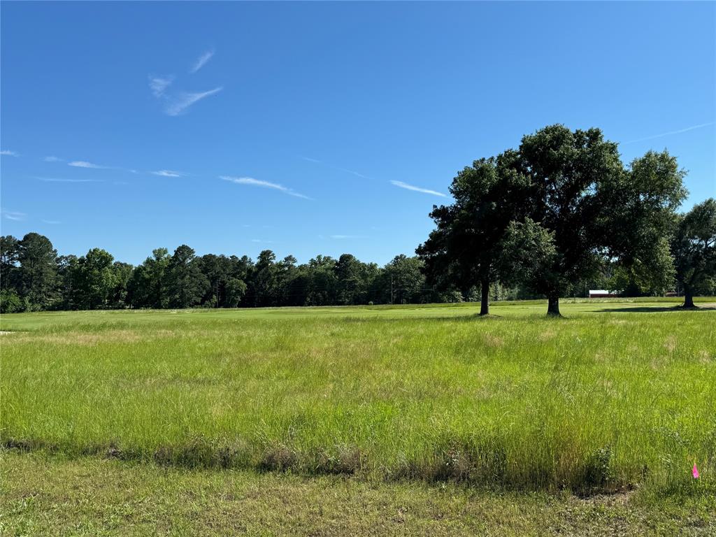 62 Oakridge South, Trinity, Texas image 4