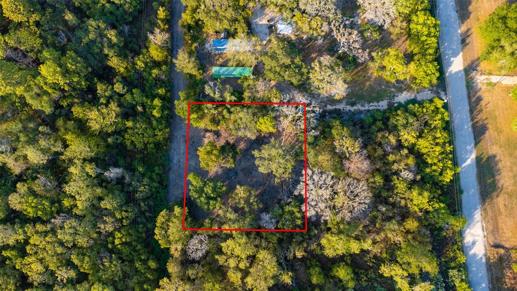 TBD Oak Drive, Brazoria, Texas image 3