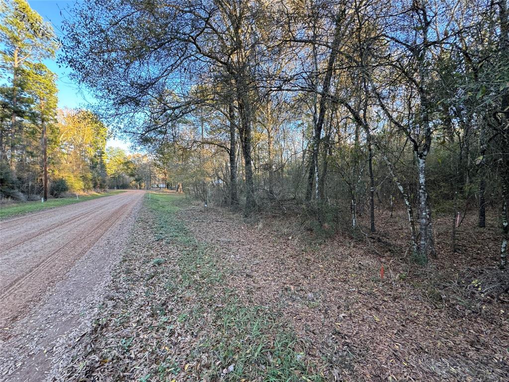 532 County Road 2175, Shepherd, Texas image 3