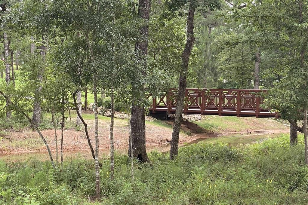 426 Embden Rim Drive, Willis, Texas image 17