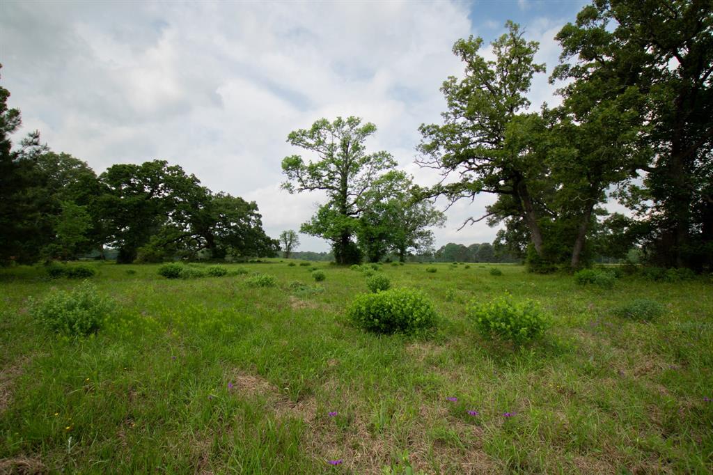 934 Jones Road