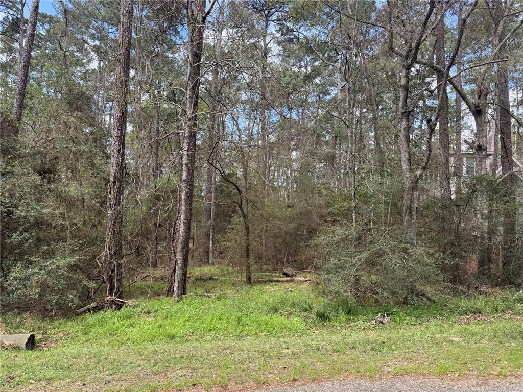 54 Green Tree Drive, Coldspring, Texas image 1