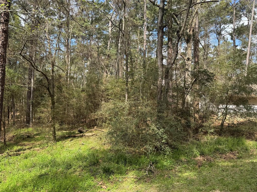 54 Green Tree Drive, Coldspring, Texas image 2