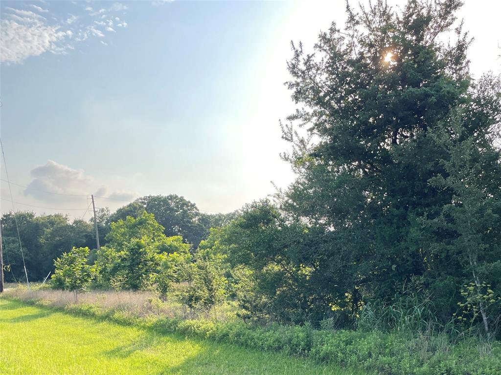 00 Tierra Grande Drive, Needville, Texas image 11