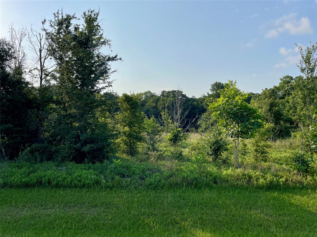 00 Tierra Grande Drive, Needville, Texas image 14