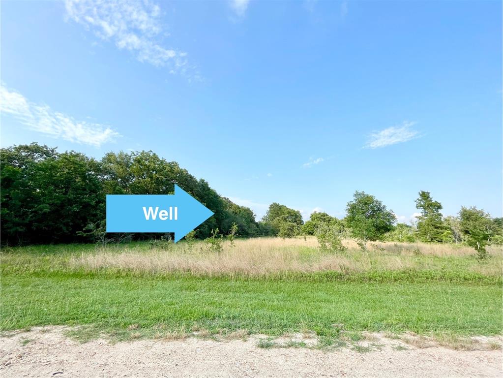 00 Tierra Grande Drive, Needville, Texas image 25