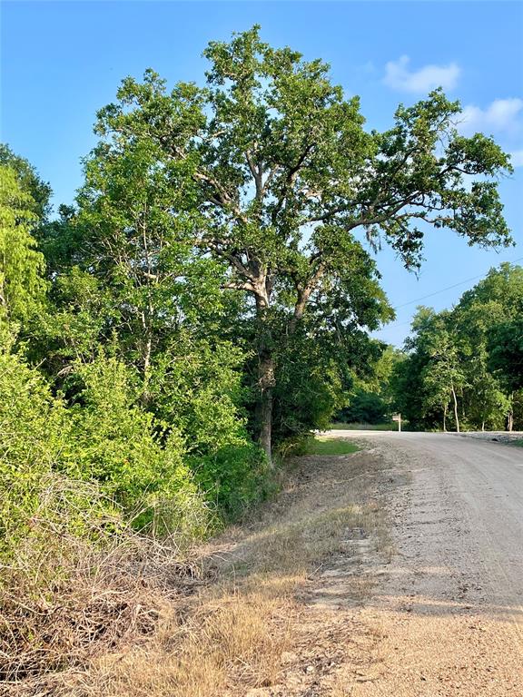00 Tierra Grande Drive, Needville, Texas image 28
