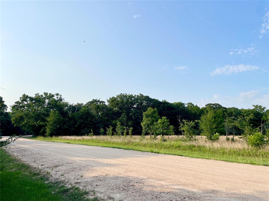 00 Tierra Grande Drive, Needville, Texas image 9