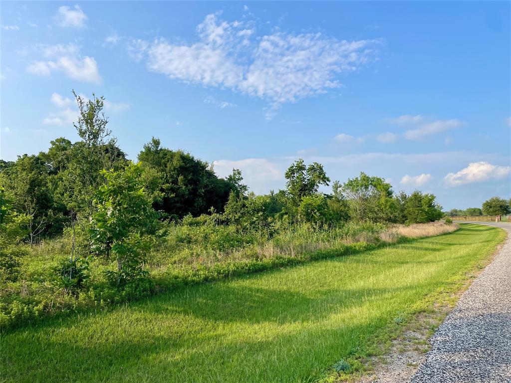 00 Tierra Grande Drive, Needville, Texas image 13