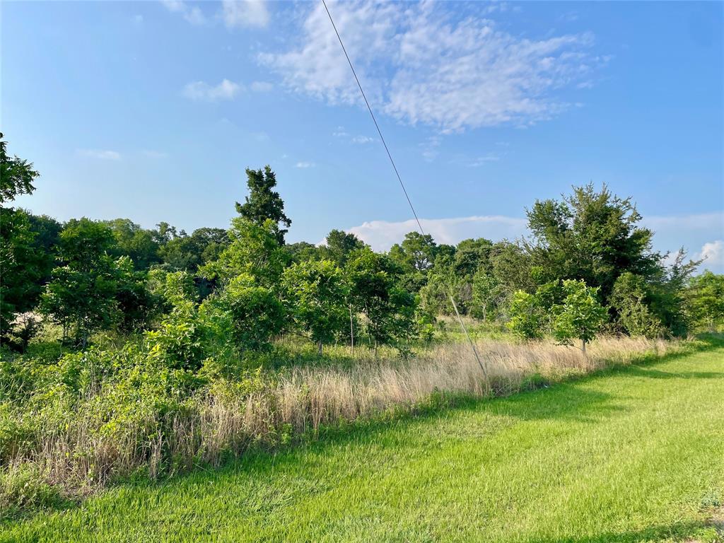 00 Tierra Grande Drive, Needville, Texas image 19