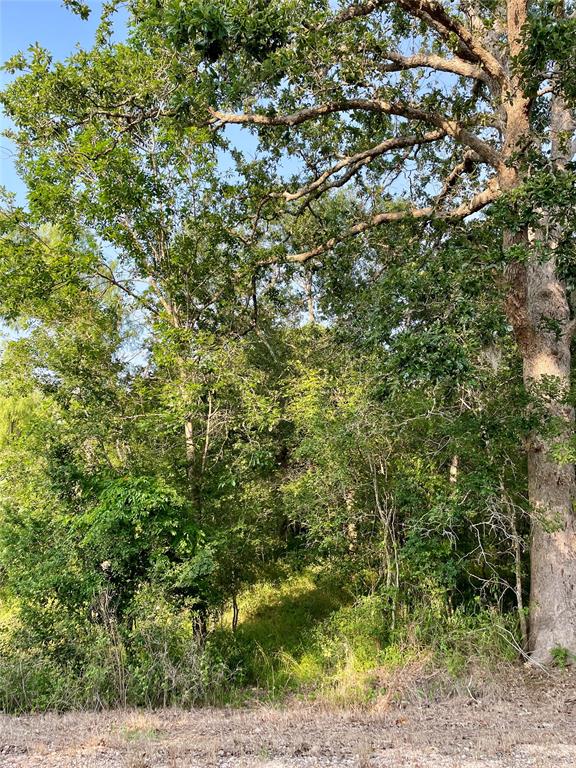 00 Tierra Grande Drive, Needville, Texas image 26