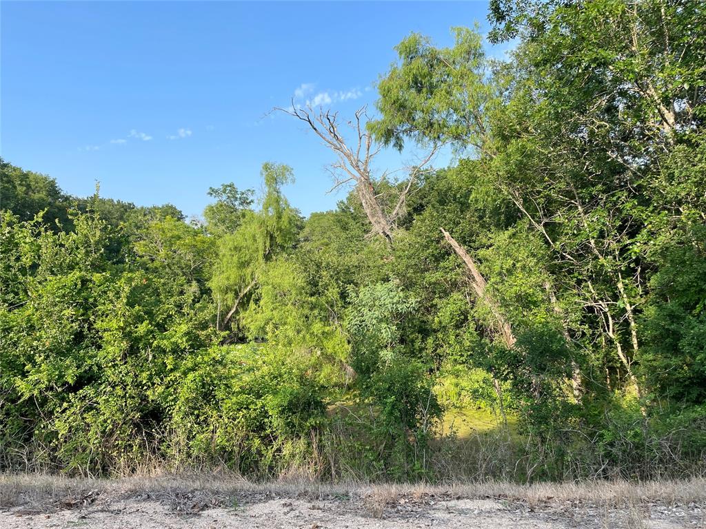 00 Tierra Grande Drive, Needville, Texas image 27