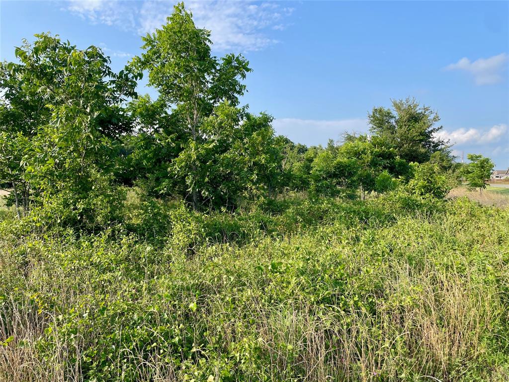 00 Tierra Grande Drive, Needville, Texas image 18