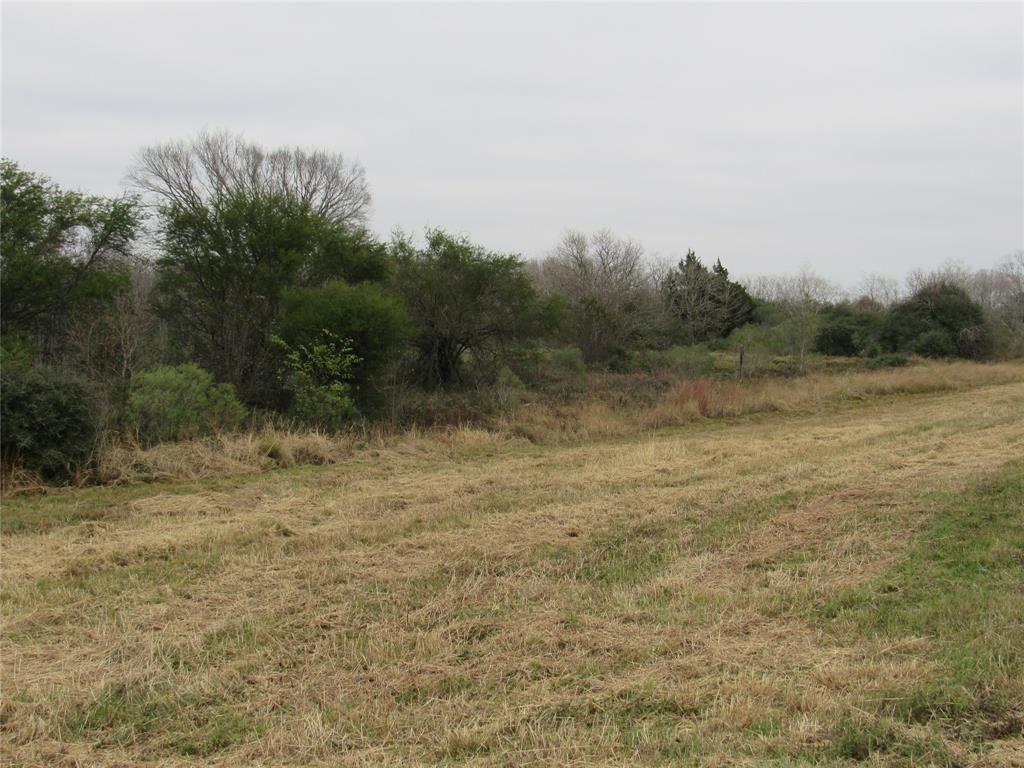 TBD I-10 Frontage Road, Cat Spring, Texas image 7