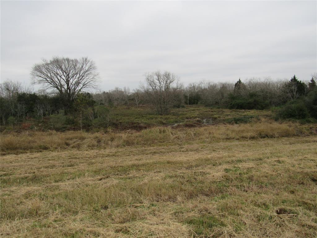 TBD I-10 Frontage Road, Cat Spring, Texas image 8