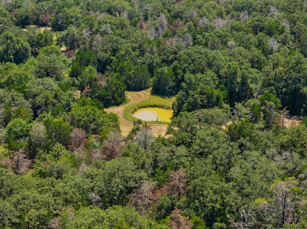 000 County Road 312, Thrall, Texas image 18