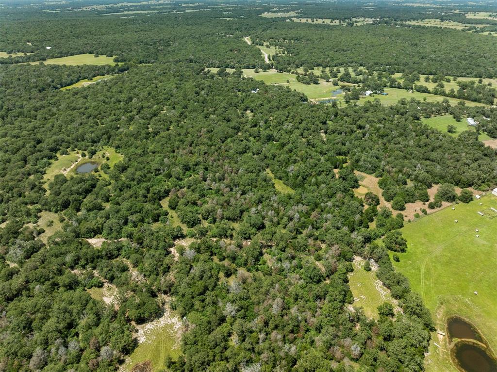 000 County Road 312, Thrall, Texas image 31