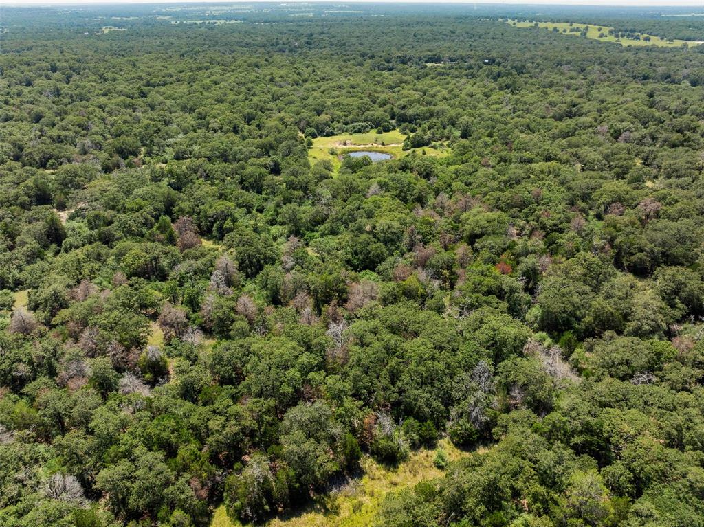 000 County Road 312, Thrall, Texas image 42