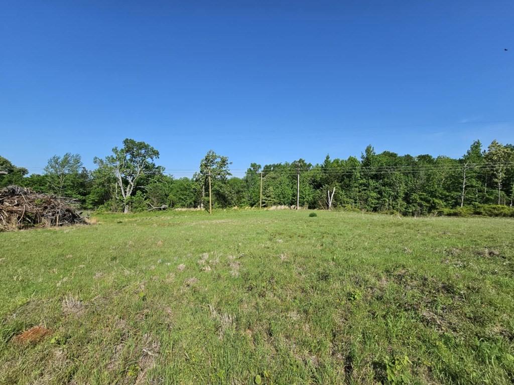 Willow Creek Drive, Palestine, Texas image 3