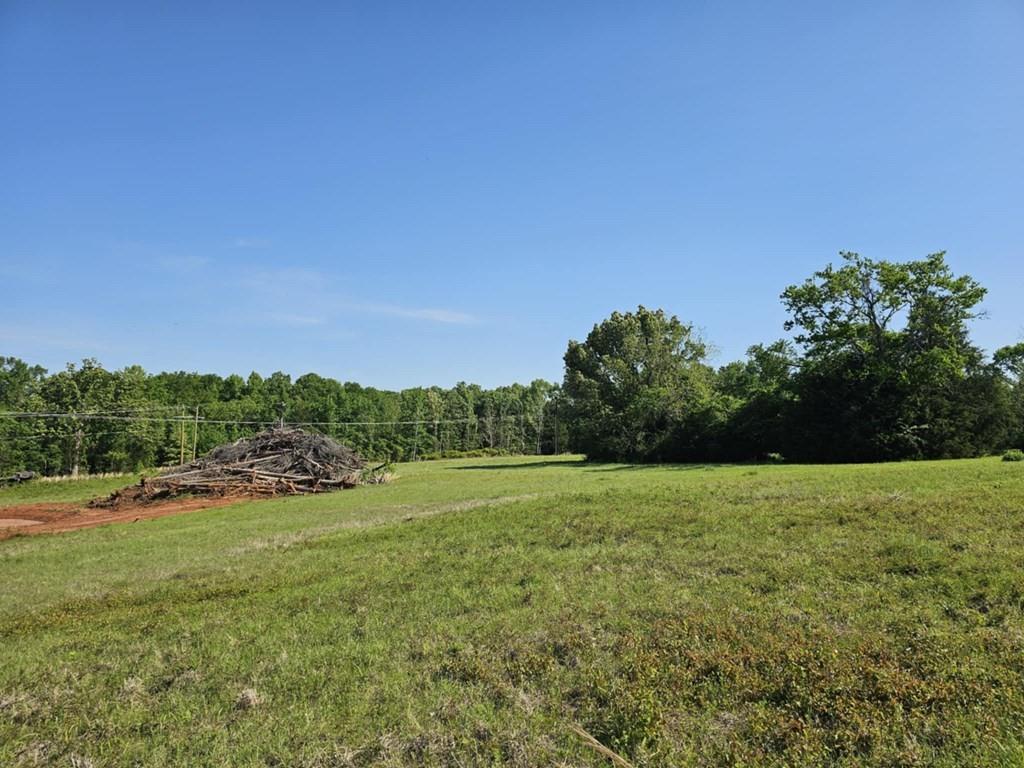 Willow Creek Drive, Palestine, Texas image 8
