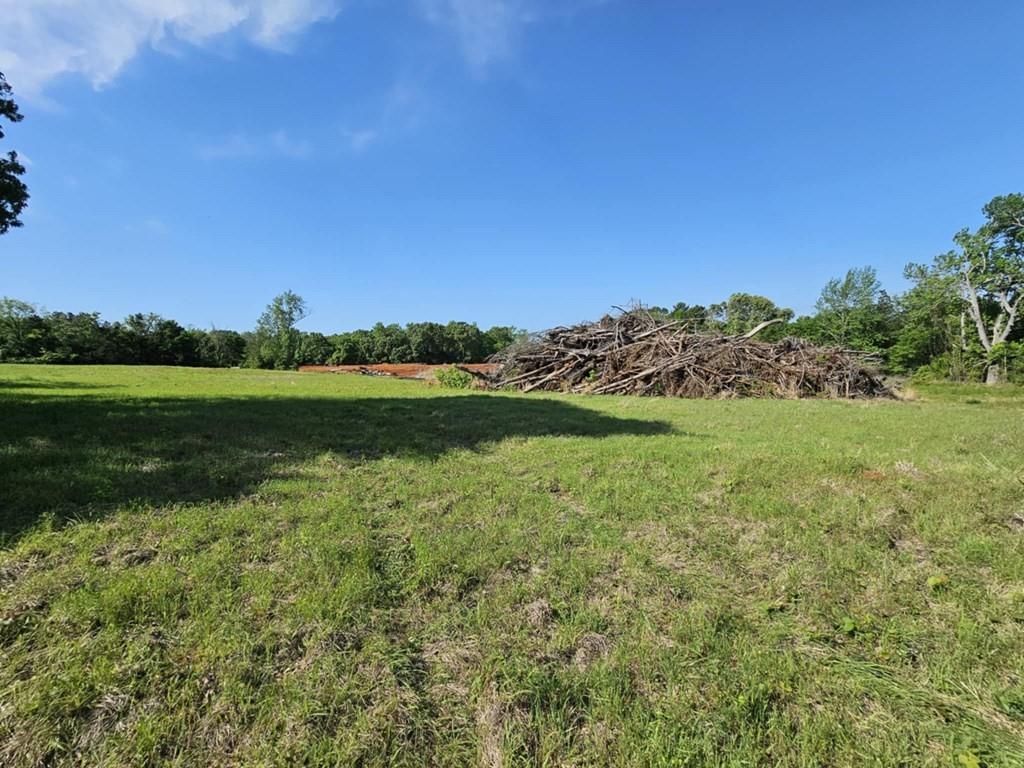 Willow Creek Drive, Palestine, Texas image 4