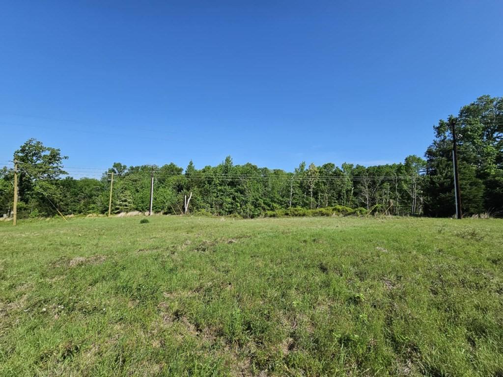 Willow Creek Drive, Palestine, Texas image 5