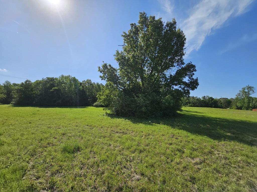 Willow Creek Drive, Palestine, Texas image 1