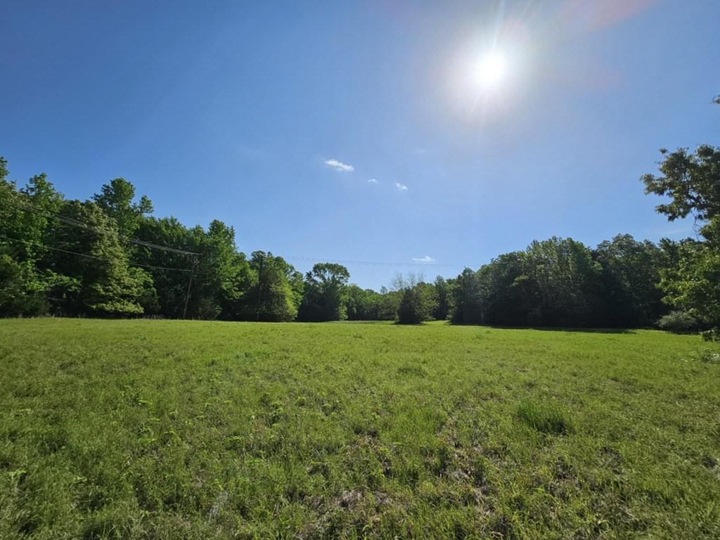 Willow Creek Drive, Palestine, Texas image 6
